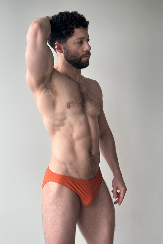 hip swim brief - sunset
