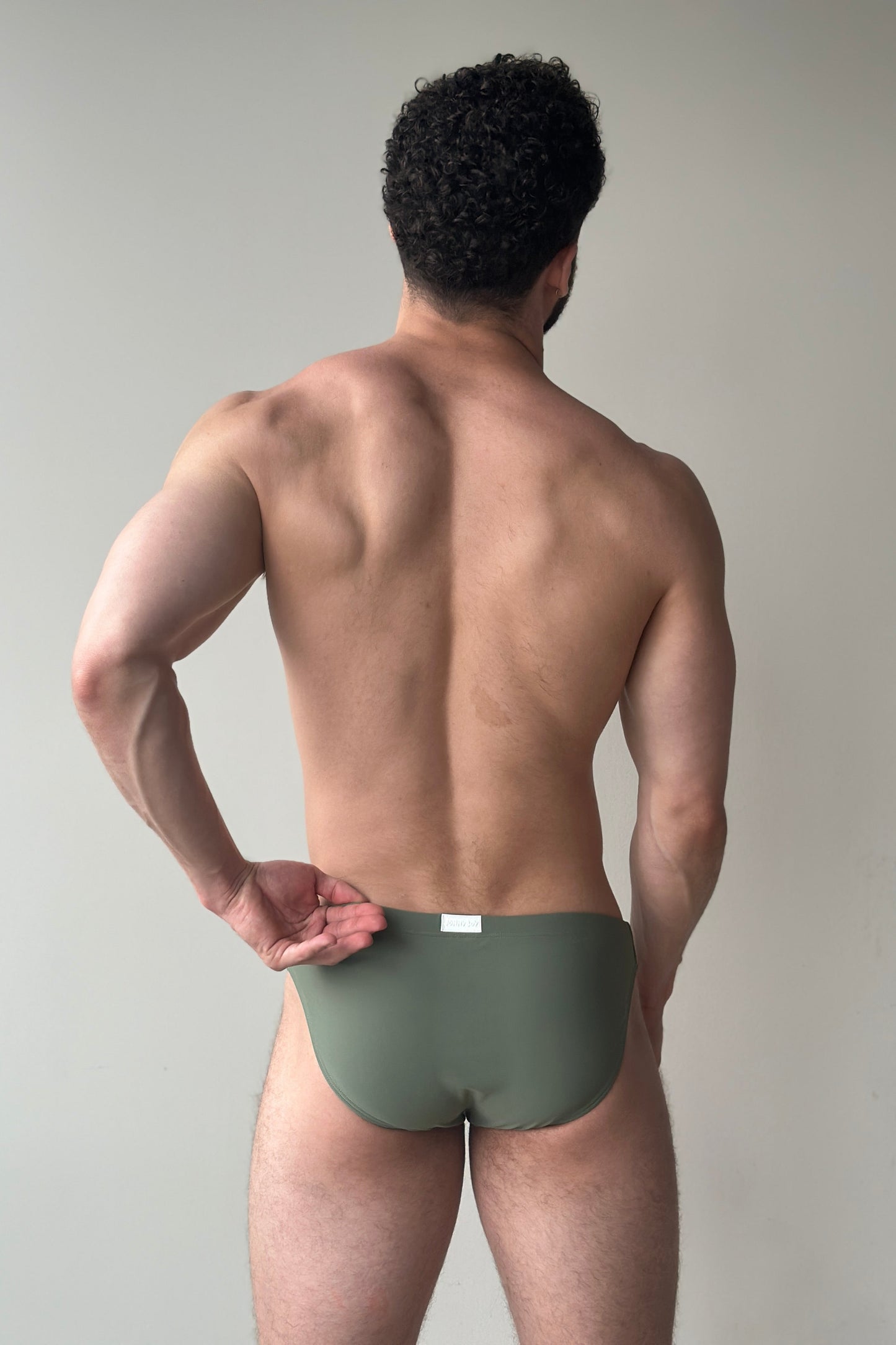 hip swim brief - palm